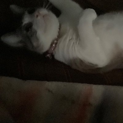 ralphjiv's profile picture. F4bulous