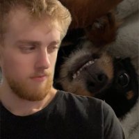 carose (@caroselol) 's Twitter Profile Photo