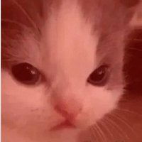 dedede223 (@_dedede223) 's Twitter Profile Photo