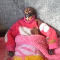 Cozy Gaming Aesthetics (@cozygamingvibes) 's Twitter Profile Photo Cozy Gaming Aesthetics (@cozygamingvibes) 's Twitter Profile Photo