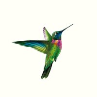 San Vicente Fundación (@sanvicentefund) 's Twitter Profile