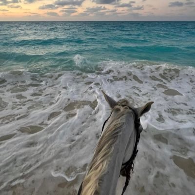 التفاصيل الصغيرة تعني دائما الكثير..💙