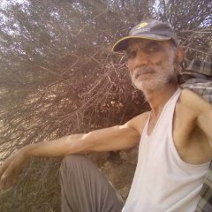 KazemiRaso66414's profile picture. 