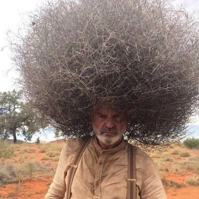 Pedro856123's profile picture. corneador