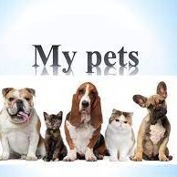 My Pets(@Pets1149722) 's Twitter Profile Photo