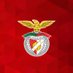 Sport London e Benfica (@SLBenficaFC) Twitter profile photo