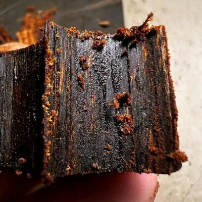 PishingT91836's profile picture. 