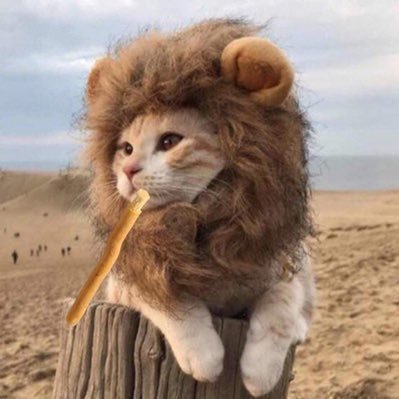 فاضي بدون دوام