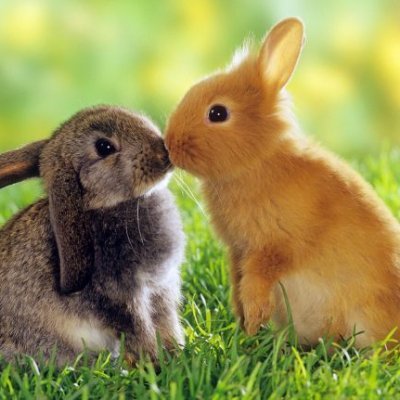 rodriguezleti4's profile picture. Hacer el bien fortalece el corazón más exhausto y decaído