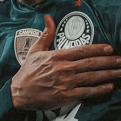 Qualquer469942's profile picture. 