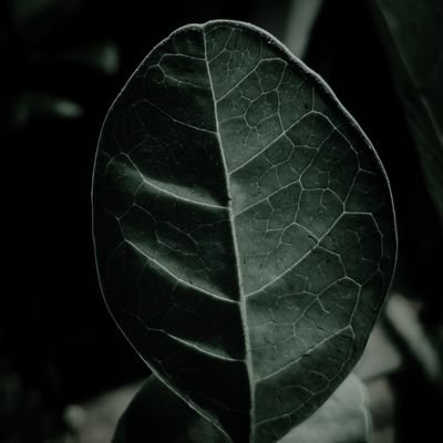 Bhavesh199523's profile picture. Unstoppable