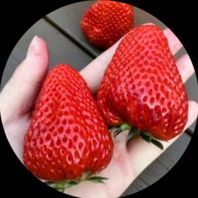 やっくんさんのプロフィール画像