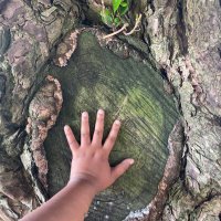 inquilab zindabad (@earthlyknowings) 's Twitter Profile Photo inquilab zindabad (@earthlyknowings) 's Twitter Profile Photo