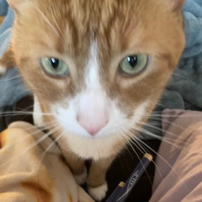 ooscarrss's profile picture. 