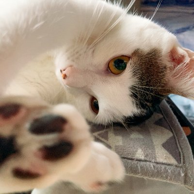 eeriePub_Co's profile picture. りこフォーエバー♥️ りこさんにあいたい:;(∩´﹏`∩);:ぴえん