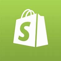 Shopify Dropshipping Store Expert