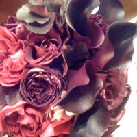 Eriko (@rioja) 's Twitter Profile