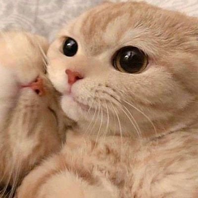 luigilefttoenai's profile picture. (they/them 19) soon to be SW