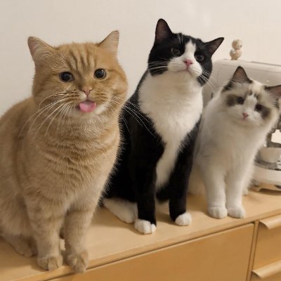 LorraineYa97232's profile picture. 