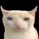 SntsGstv's profile picture. 