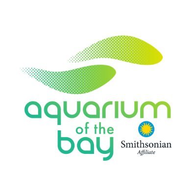 OFFICIAL account of Aquarium of the Bay on PIER 39 in #SanFrancisco. Smithsonian Affiliated / AZA Accredited. Use code 