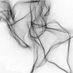 DavΞ Merin (@dfmerin) Twitter profile photo DavΞ Merin (@dfmerin) Twitter profile photo