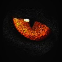 T S Sivasankar (@tssivasankar1) 's Twitter Profile