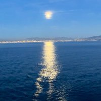 Amy Lady (@amylady1115) 's Twitter Profile