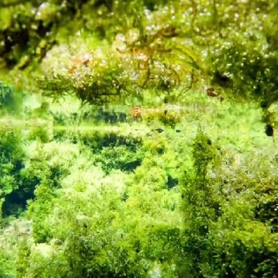 UhrPcrHDSS6GGZT's profile picture. 年齢  21歳
BOTじゃないです