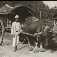 elang (@elanlaut) 's Twitter Profile