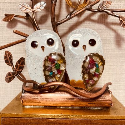 短歌結社 白珠 同人。パンの耳(フレンテ歌会)同人。第一歌集『靴紐の蝶』(現代短歌社)、森林インストラクター、博物館・日本庭園の解説ボランティアや自然観察会の案内もやってます。