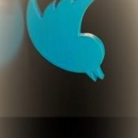 Barb's sideass(Hubby) (@barbara36205196) 's Twitter Profile