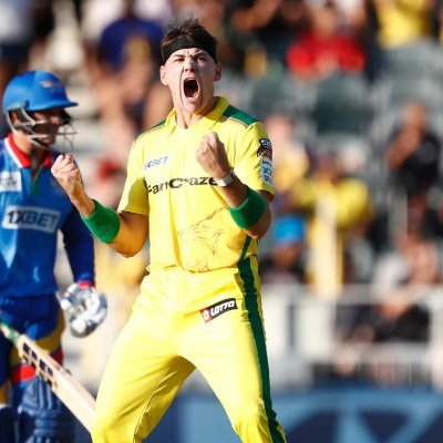 HitWicketCSK's profile picture. 