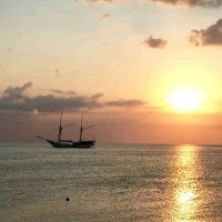 OrangDesa (@wlebuan) 's Twitter Profile