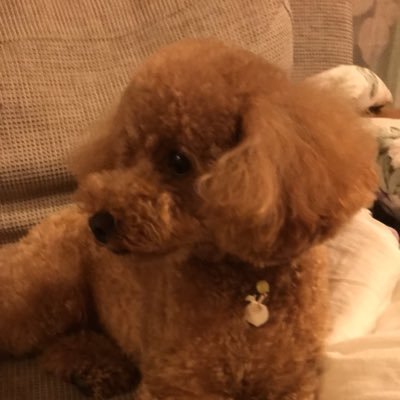 sanaetandao's profile picture. 