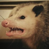 mk (@heyitsmk) 's Twitter Profile Photo mk (@heyitsmk) 's Twitter Profile Photo