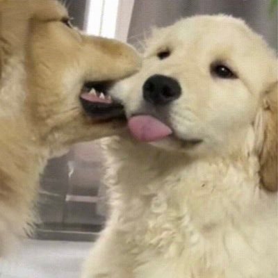 Cade_Vv's profile picture. 