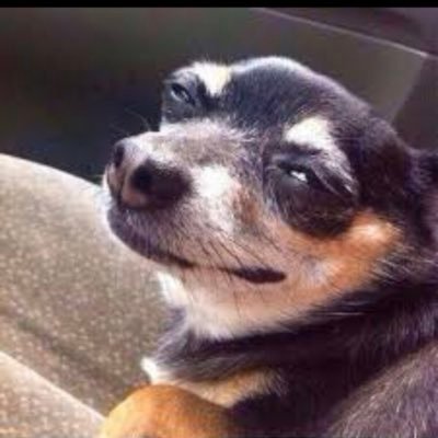 iamxavio's profile picture. Developer | Gooner 🔴⚪