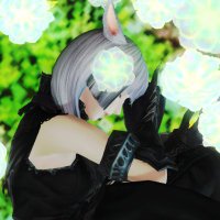つき🌙.*🜸 (@tsuki_phi) 's Twitter Profile