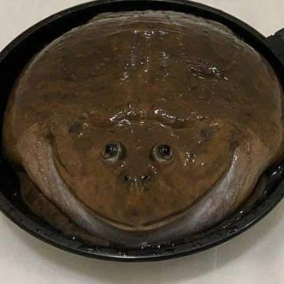 lego123512's profile picture. 個人創作者