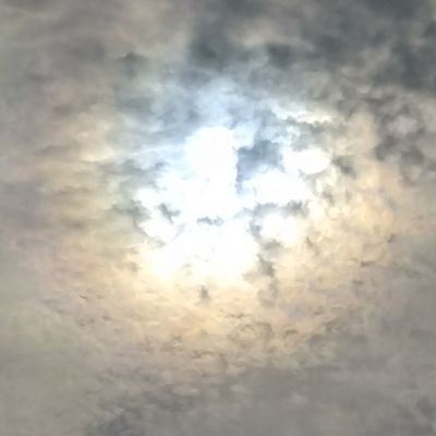 無言フォロー失礼します。
見る専用アカウントです。