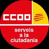 fsc-ccoo ➕drets➕JustíciaSocial(@ccoo_fsc_cat) 's Twitter Profile Photo