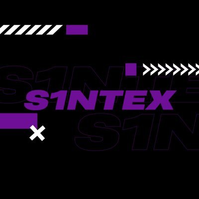 s1ntexrl Profile Picture