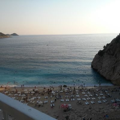 daimaborsa's profile picture. 