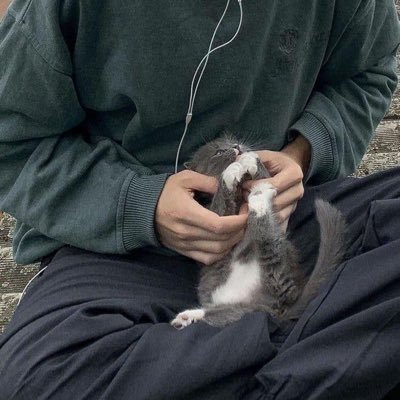 bozz20121106's profile picture. 