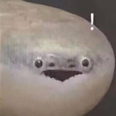 bloom2077's profile picture. 