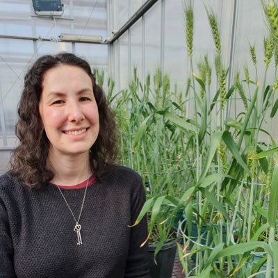 Researching mycorrhizal fungi for food and nutrition security 🌾🍄 | ARC DECRA @waiteresearch | ⚽️+🚴🏻‍♀️ enthusiast