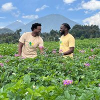 Mulika Farms (@mulikafarms) 's Twitter Profile