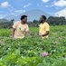 Mulika Farms (@mulikafarms) Twitter profile photo Mulika Farms (@mulikafarms) Twitter profile photo