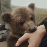 ø (@likeafunerall) 's Twitter Profile Photo ø (@likeafunerall) 's Twitter Profile Photo